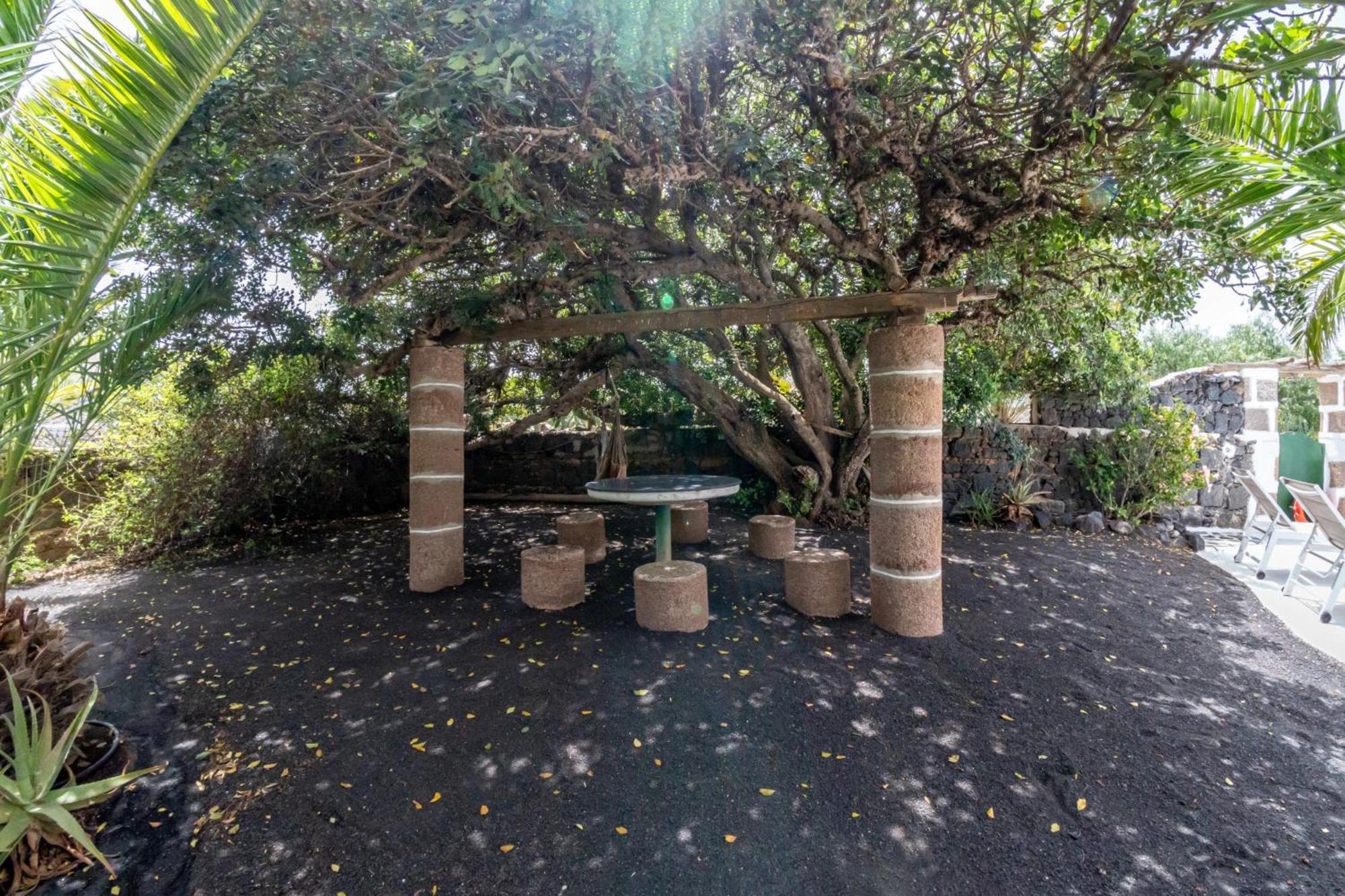 Casa Timanfaya In Tegoyo Villa Conil Екстериор снимка