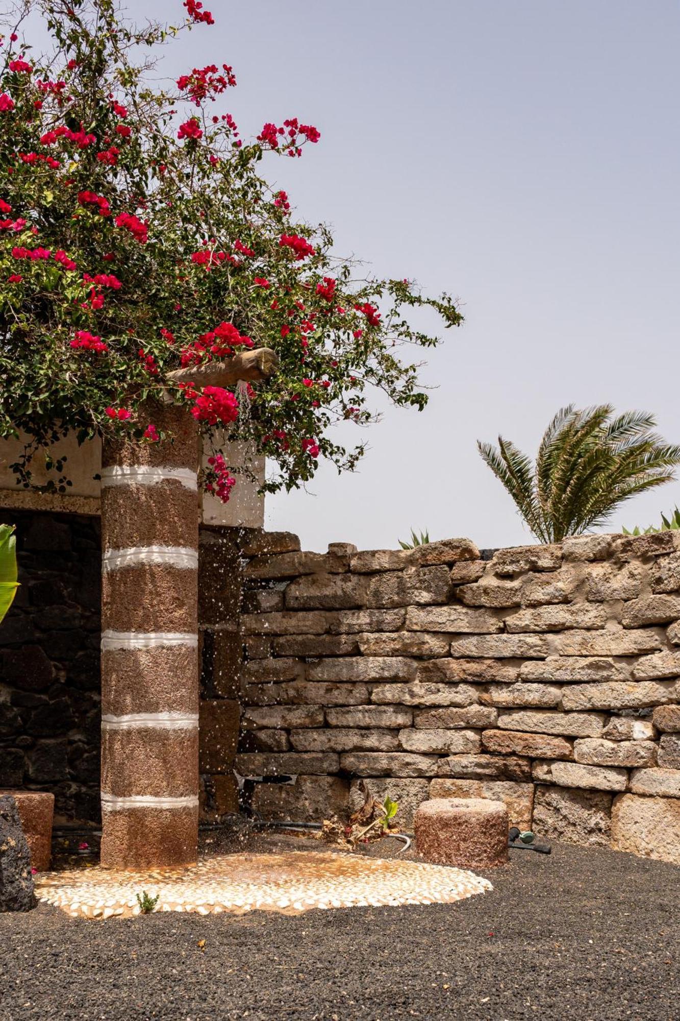 Casa Timanfaya In Tegoyo Villa Conil Екстериор снимка